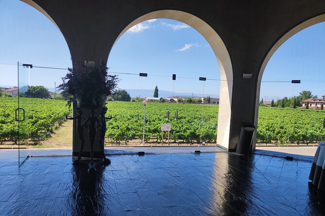 Tour of La Ribera Winerie and Extra Virgin Olive Oil Guided Tour - Tasting Experience