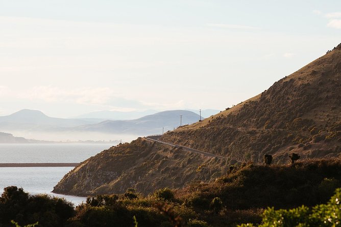 Tour of Larnachs Castle and Wildlife Cruise on Otago Harbour  - Dunedin & The Otago Peninsula - Pickup and Drop-off