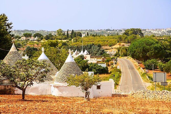Tour of LOCOROTONDO and ALBEROBELLO Departing From Bari - Vehicle and Staff