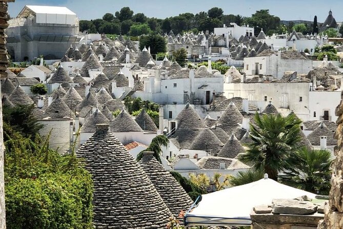 Tour of LOCOROTONDO and ALBEROBELLO Departing From Bari - Traveler Reviews