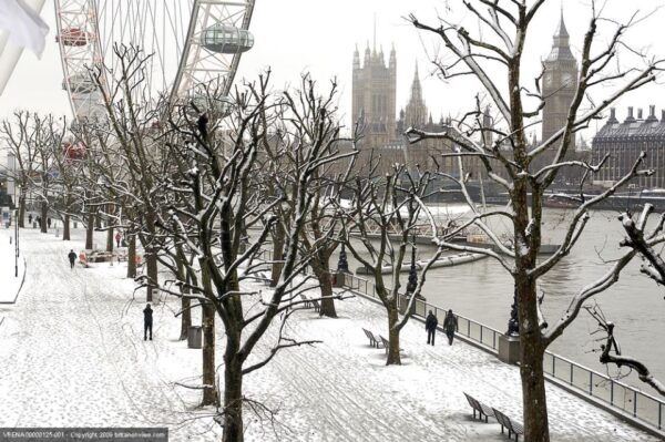 Tour of London and Christmas Day Lunch Cruise - Customer Reviews and Ratings