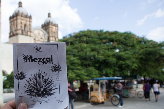 Tour of Mezcalerias in the City - Good To Know