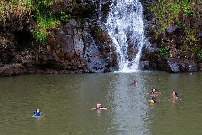 Tour of North Shore & Waimea Waterfall - Tour Details