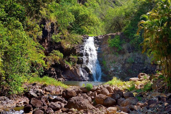 Tour of North Shore & Waimea Waterfall - Customer Reviews and Tour Guide Expertise