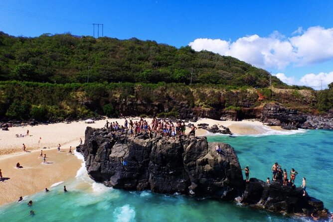 Tour of North Shore & Waimea Waterfall - Customer Satisfaction