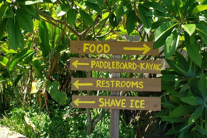 Tour of North Shore & Waimea Waterfall - Dole Plantation
