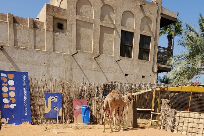 Tour of Old Dubai by Night. Tastings and History. - Indulging in Authentic Tastings
