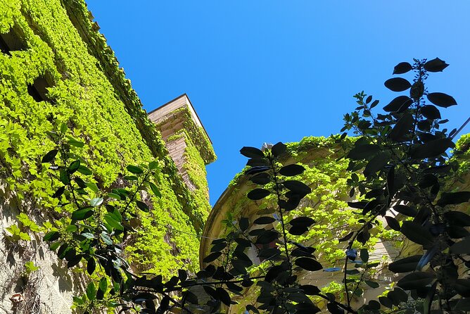 Tour of Olite and the Royal Castle. - Uncovering Olites Rich Heritage