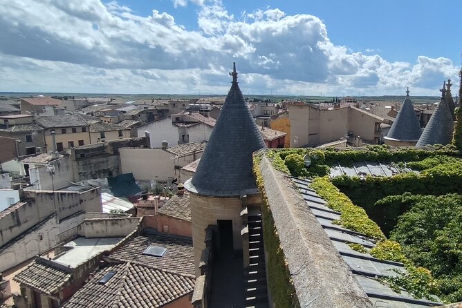 Tour of Olite and the Royal Castle. - Delving Into Local Culture and Cuisine