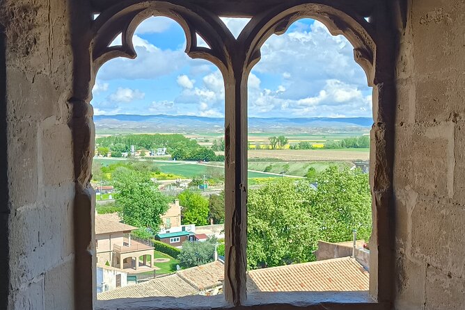 Tour of Olite and the Royal Castle. - Tips for an Unforgettable Olite Tour