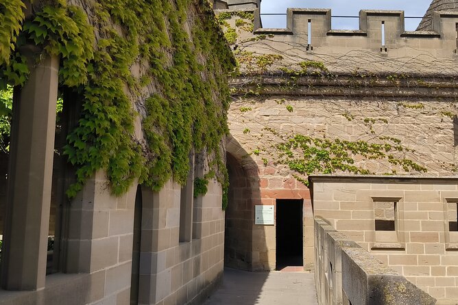 Tour of Olite and the Royal Castle. - The Sum Up