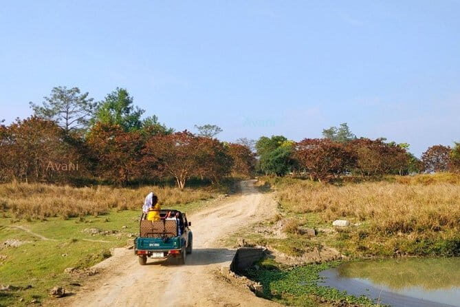 Tour of Pobitora Wildlife Sanctuary from Guwahati with Safari, Lunch and Guide - Good To Know