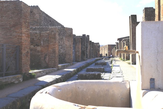 Tour of Pompeii Must-See Sites With Skip the Line Tickets & Exclusive Guide - Pompeiis Iconic Landmarks Explored