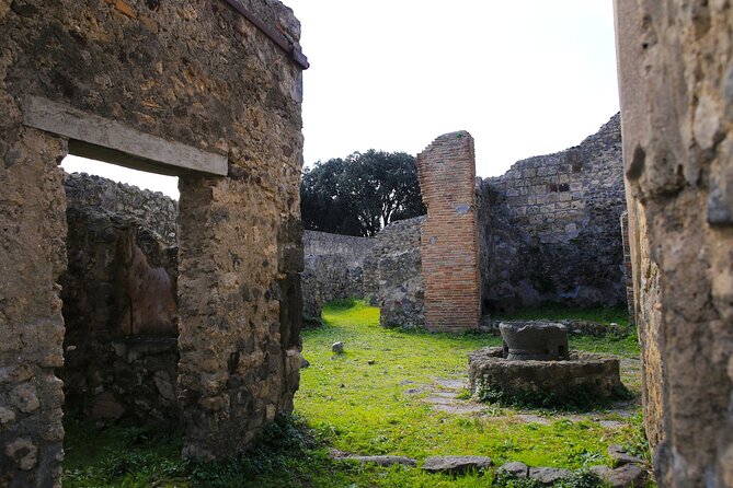 Tour of Pompeii With Skip the Line Tickets & Exclusive Guide - Activity Cost and Price Variability