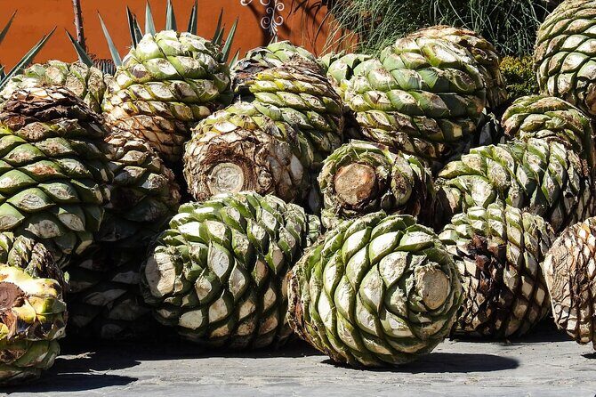 Tour of Puebla and tour of Atlixco (private tour) - Practical Details That Matter  