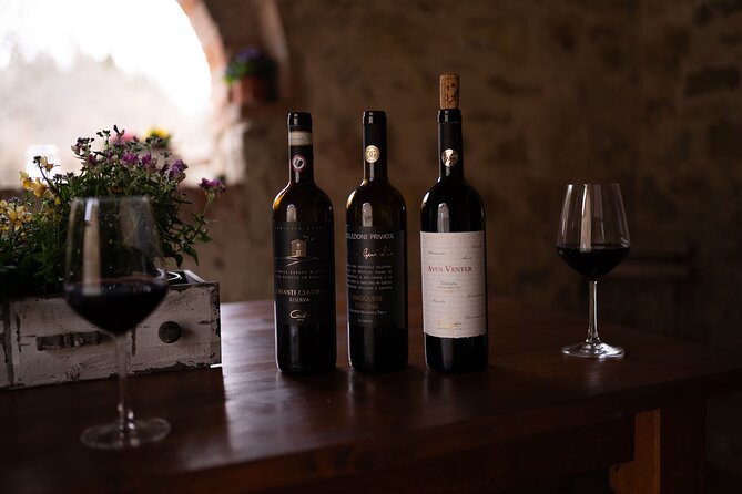 Tour of San Gimignano and Private Wine Experience in Chianti - Cancellation Policy