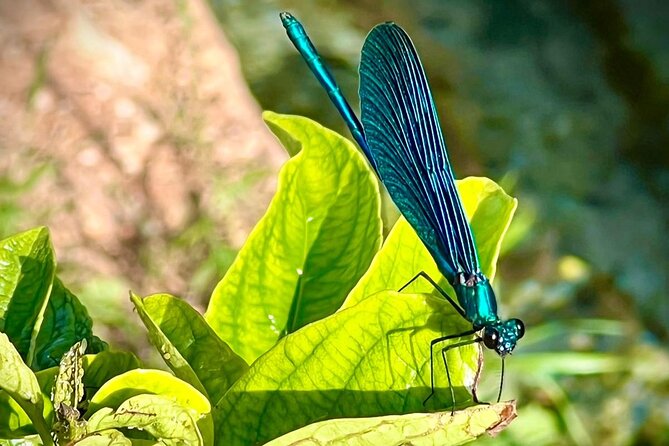 Tour of Saranda, Ksamil & Blue Eye From Tirana - Traveler Reviews