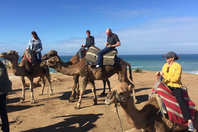 Tour of Tangier 3-6 People - Common Questions