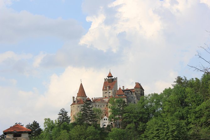 Tour of the 3 Castles: Bran, Rasnov and Peles in Spanish (Native Spanish Guide). - Traveler Reviews