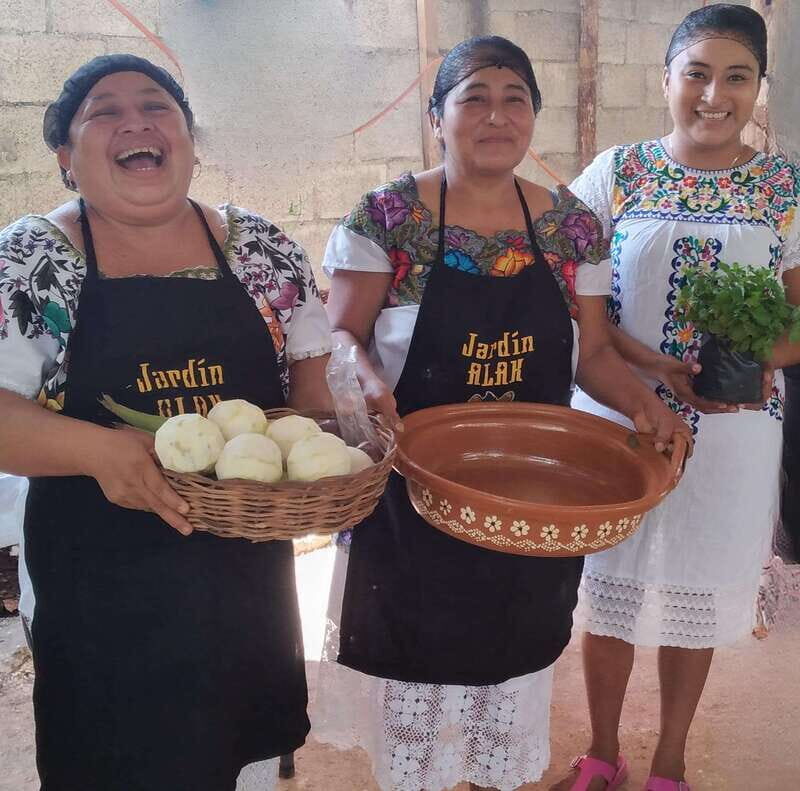 TOUR OF THE 4 BACABES : EXPERIENCE WITH MELIPONA BEES - Good To Know