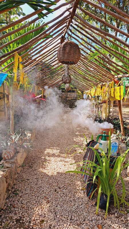 TOUR OF THE 4 BACABES : EXPERIENCE WITH MELIPONA BEES - Exploring the Tour of the 4 Bacabes: An In-Depth Look