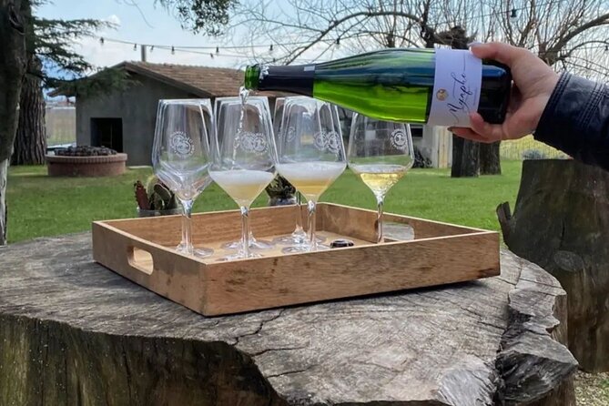 Tour of the Agro Pontino by Minibus With Tasting. - Agro Pontino: Minibus Tour Overview