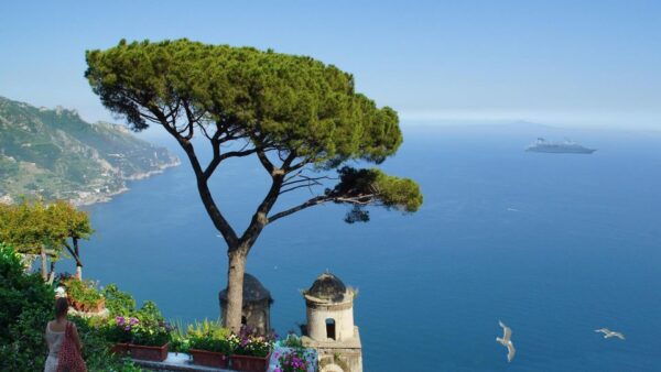 Tour of the Amalfi Coast, Ravello Amalfi&Positano - Booking