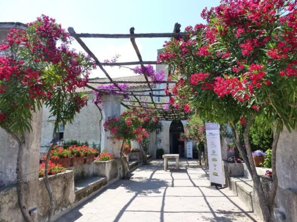 Tour of the Amalfi Coast, Ravello Amalfi&Positano - Frequently Asked Questions