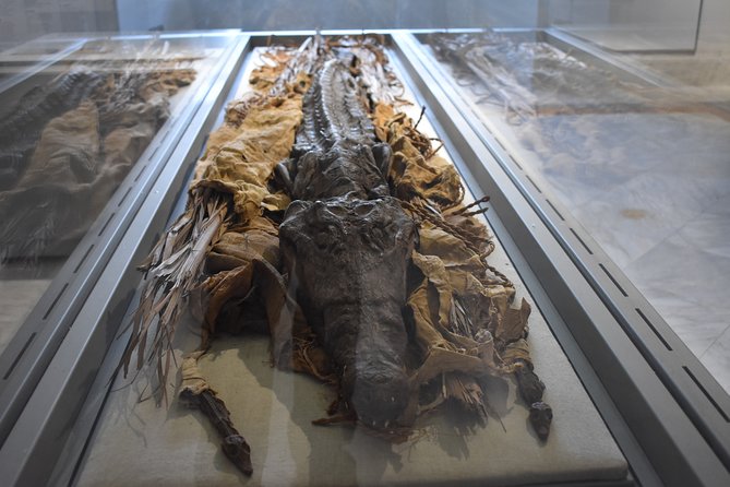 Tour of the Archaeological Museum of Naples - Colorful Mosaics and Frescoes