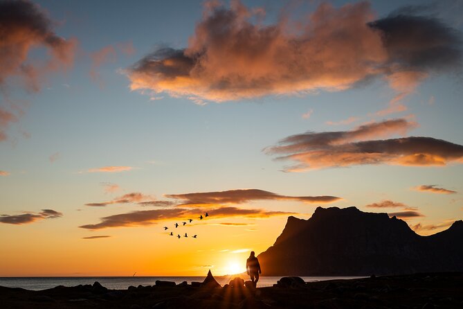 Tour of the Authentic Fjords of Kvaløya to Sommarøy - Tour Highlights