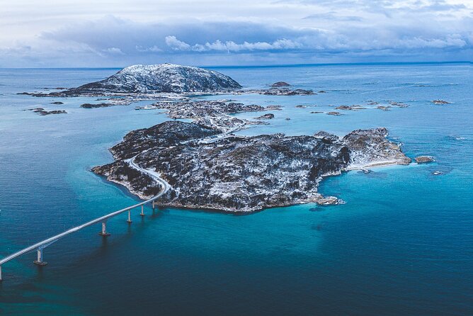 Tour of the Authentic Fjords of Kvaløya to Sommarøy - Testimonials