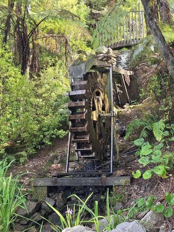 Tour of the Bay, Te Puna Sculpture Park and Historic Village - Authentic Insights from Past Participants