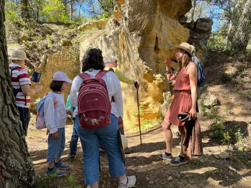 Tour of the Bibémus quarries and short stone cutting workshop. - Introduction