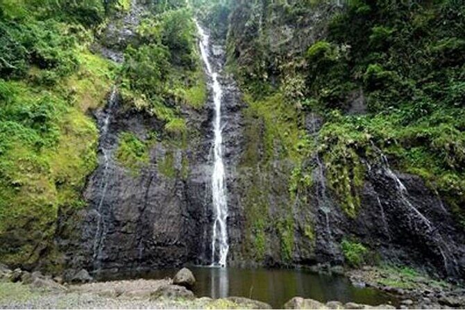 Tour of the EAST Coast - An Authentic Peek into Tahitis East Coast