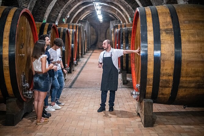 Tour of the Historical Cellars in Montepulciano - Wine Tasting Experience Highlights