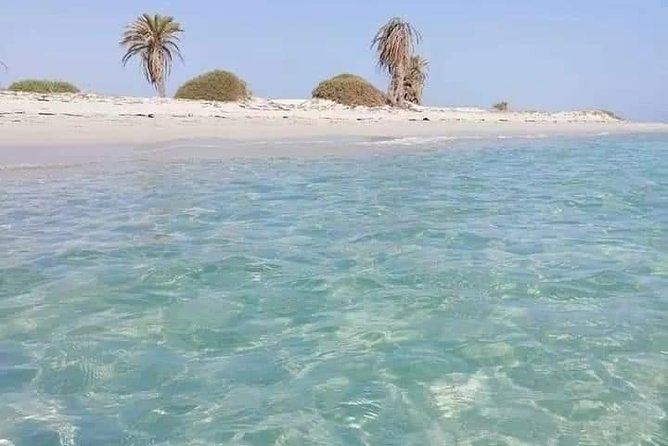 Tour of the Island of Djerba the Island of Lotophages - Must-Visit Landmarks on the Island