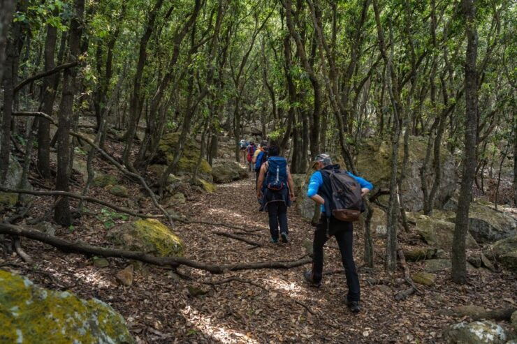 Tour of the Island of Zannone Lasting 6 Hours - Tour Pricing and Inclusions