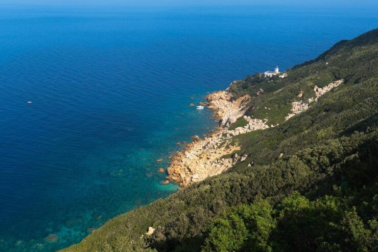 Tour of the Island of Zannone Lasting 6 Hours - Activities and Experience Highlights