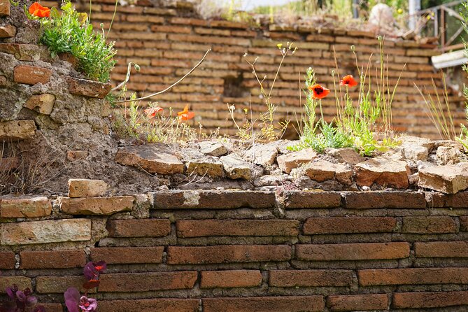 Tour of the Ludus Magnus, Residences and Gladiator Arena in the Colosseum - Directions and Logistics