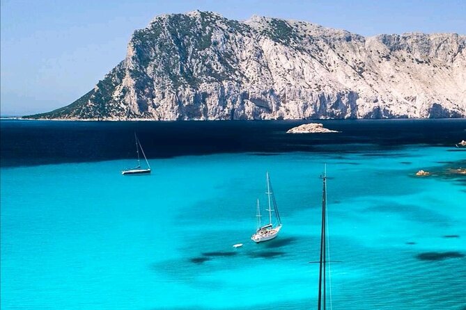 Tour of the Marine Protected Area of Tavolara - Marine Life and Habitats