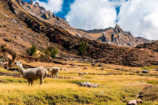 Tour of the Mountain of Colors Vinicunca or Rainbow Mountain - Meeting Point and Pickup Information