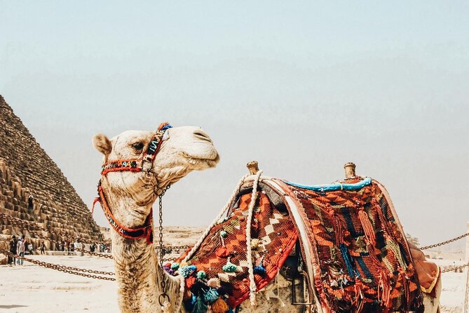 Tour of the Pyramids - Cancellation and Refund Policy