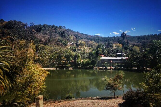 Tour of the Sierra Juárez, Ixtlán, Guelatao and Capulálpam - Price and Value: Is It Worth It?