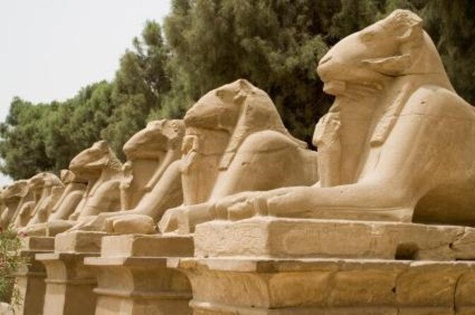 Tour of the Temples, Museums, and Sphinxes of East Bank in Luxor - Ramesseum