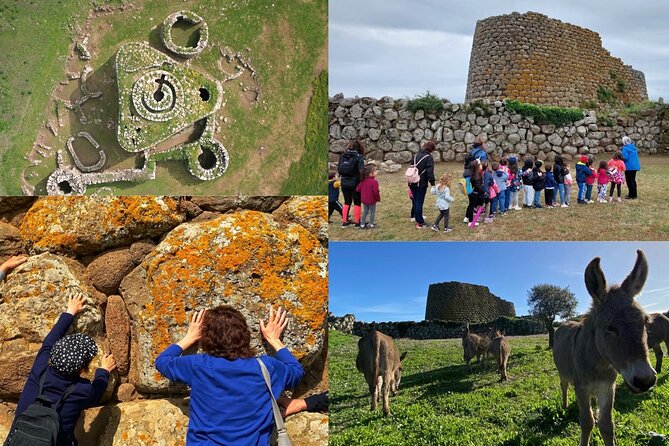 Tour of the Well of Santa Cristina and Nuraghe Losa Entrance Fees Included - Booking and Cancellation Policy