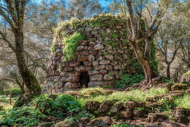 Tour of the Well of Santa Cristina and Nuraghe Losa Entrance Fees Included - Customer Reviews
