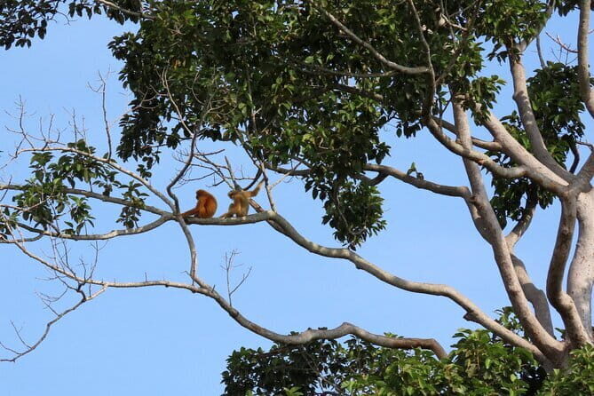 Tour of the Wildlife Rescue Center - Detailed Experience Breakdown