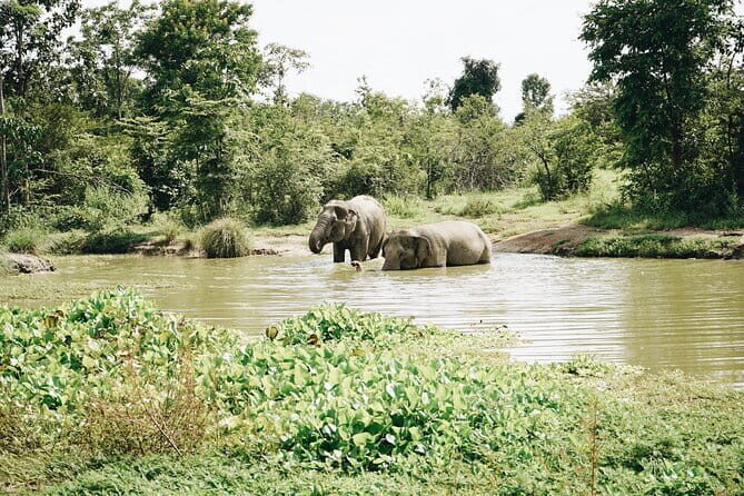 Tour of the Wildlife Rescue Center - FAQ