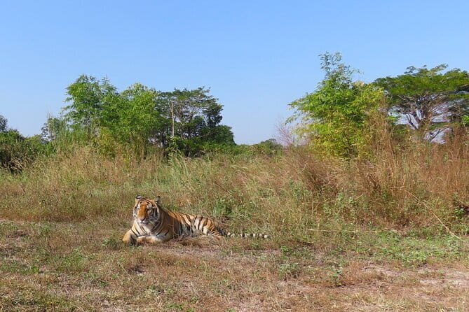 Tour of the Wildlife Rescue Center - Good To Know  