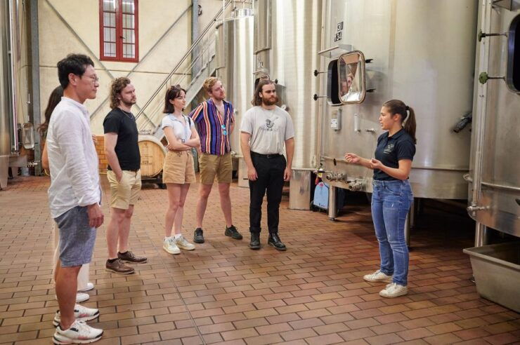 Tour of the Winery and Tasting of 3 Appellations - Tasting of 3 Appellations